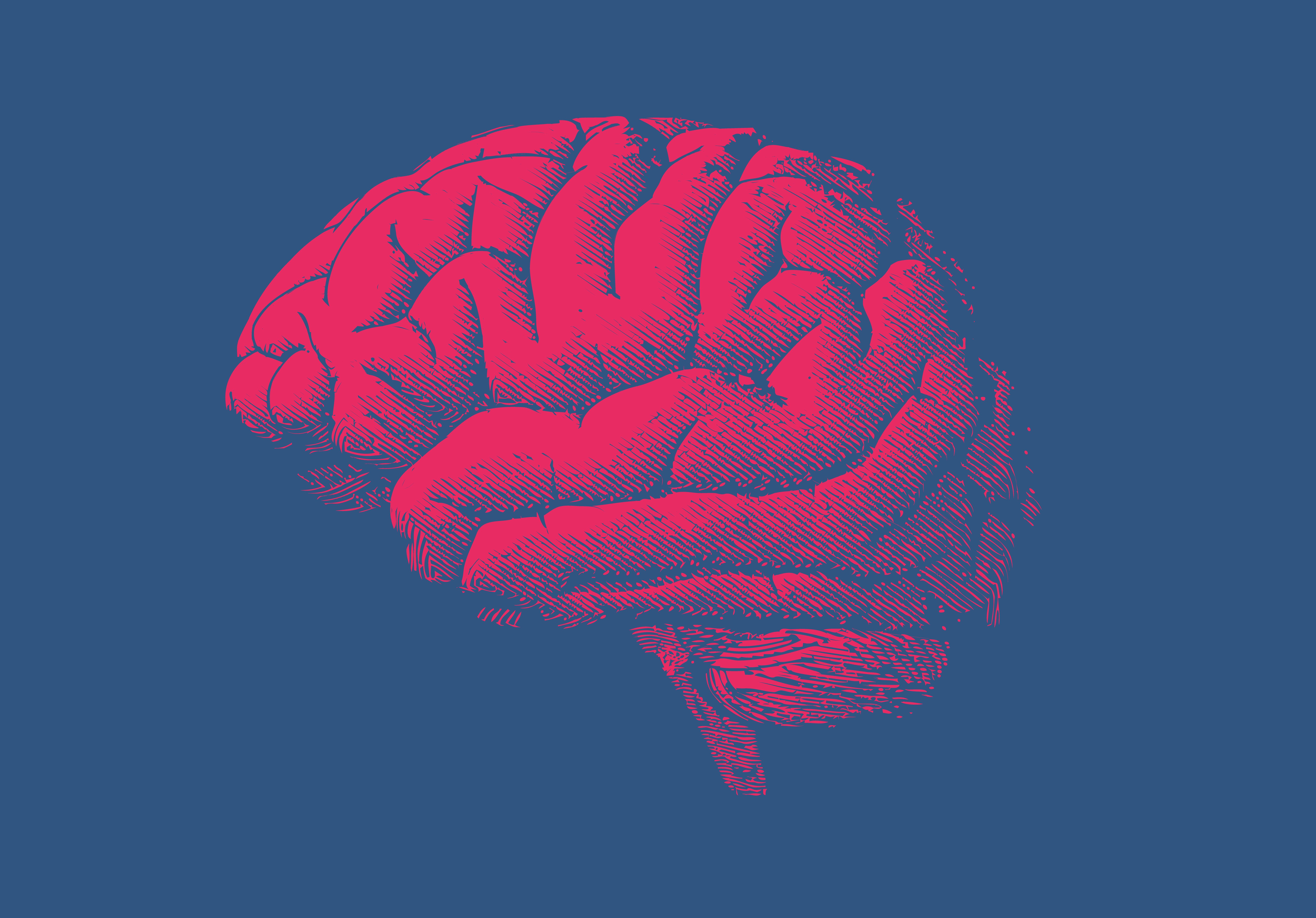 Интересное о мозге человека. Загадки человеческого мозга. Мозг интересные картинки. Мозг коллаж.