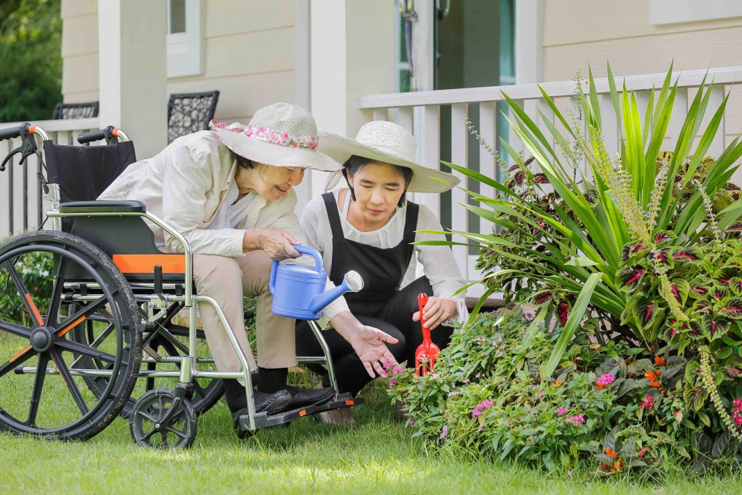 Elderly woman gardening in backyard with daughter